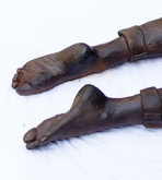 ACEDIA - A sign of Times